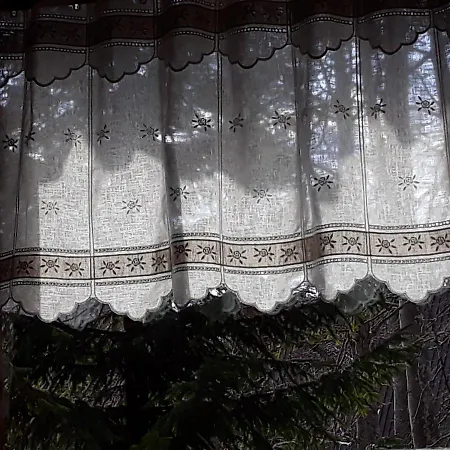 Janezova Koca Sviscaki