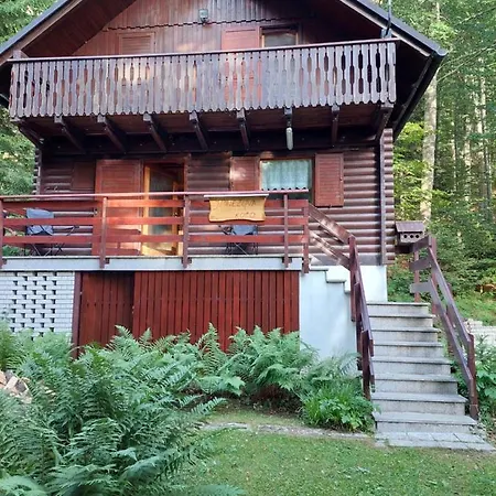Janezova Koca Sviscaki Prázdninový dům *